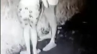 High way sex scandal