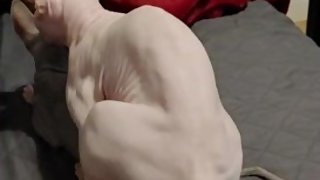 Young slut latina teen fuck for first time, virgin de flotation she cry